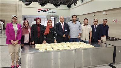 جمارك مطار أسيوط تضبط محاولة تهريب كمية من غذاء ملكات نحل