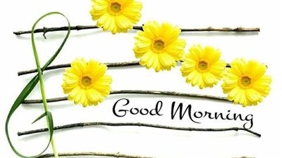 صور صباح الخير.. بوستات إيجابية تعزز التفاؤل ليوم مشرق