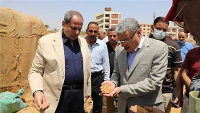 المنيا: شون وصوامع المحافظة تستقبل 499 ألف طن من محصول القمح بنسبة 111%