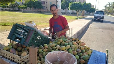 من نادي سموحة وأسمنت أسيوط إلى بائع تين شوكي بالمنوفية.. ياسر محمد: كنت لاعب كورة وأسرع من صلاح