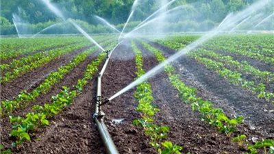 للمزارعين.. الخطوات والأوراق المطلوبة للحصول على قرض باب رزق 