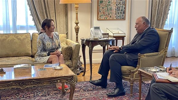 شكري يلتقي وزيرة