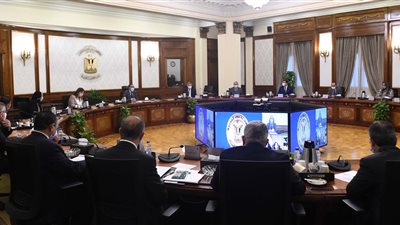 رئيس الوزراء يؤكد أهمية التوسع في تطبيق منظومة نافذة ونظام التسجيل المسبق للشحنات ACI