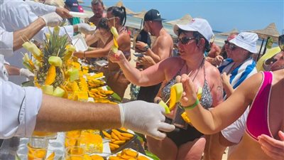 فندق بمرسى علم يقيم مهرجانًا لـ المانجو للترفيه على السائحين | صور
