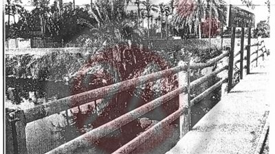 القاضي القاتل يرشد عن مكان التخلص من المشغولات الذهبية ومتعلقات شيماء جمال في ترعة المريوطية | انفراد 