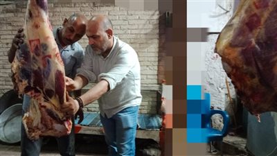 خلال شهر.. ضبط 2 طن لحوم وأسماك غير صالحة للاستهلاك الآدمي بالمنوفية