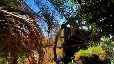 ارتفاع في درجات الحرارة بالفيوم.. والعُظمى 37 مئوية