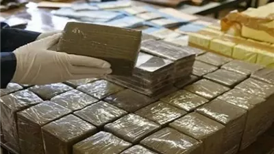 القبض على شخصين بحوزتهما 400 طربة حشيش بالإسكندرية والدقهلية 