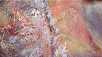 ضبط 146 كيلو لحوم ودواجن غير صالحة للاستهلاك ومجهولة المصدر بالغربية 