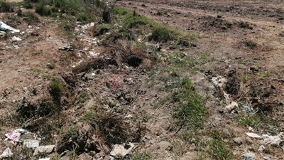 تبوير 70 فدان زراعة بالشرقية.. والفلاحين: خدوا روحنا والمياه لأ | القصة الكاملة