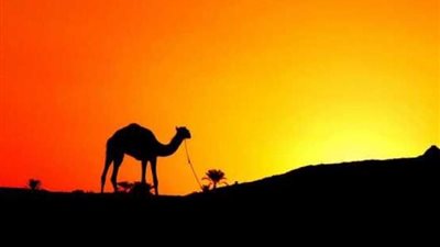 هل هجرة الرسول (ص) في ربيع الأول أم في شهر المحرم؟.. الإفتاء تحسم الجدل