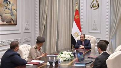 الرئيس السيسي يوجه بإضافة مساحات جديدة للرقعة الزراعية المستصلحة في توشكى