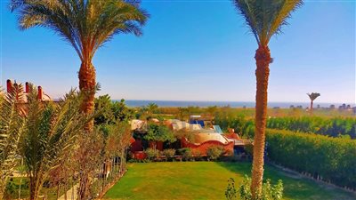 تقترب من الـ 40.. ارتفاع شديد في درجات الحرارة بالفيوم والأرصاد توجه نصائح مهمة