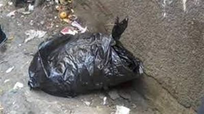 امرأة أسترالية تعترف بإلقاء رضيعها من النافذة في كيس بلاستيكي.. ما القصة؟ 