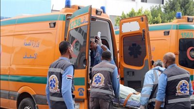  تسلق شجرة أمام منزله وسرق حبات المانجو.. شخص يدهس طفل بسيارته في الغربية