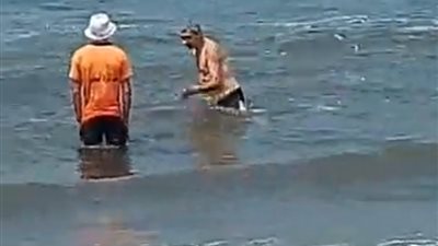 مُنقذ يساعد مسن من ذوي القدرات الخاصة خلال السباحة في بحر بورسعيد: مستمتع إني معاك | صور
