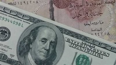 تحرك في البرلمان بشأن تعامل الحكومة مع ارتفاع سعر الدولار أمام الجنيه