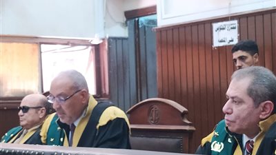 تأجيل محاكمة المتهم بقتل الطفلة أمل فتاة البراجيل إلى جلسة الغد