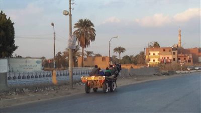 حظر سير عربات الكارو والحناطير بشوارع مدينة دشنا بقنا.. ومواطنون: قرار غير مدروس