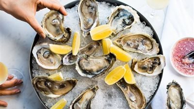 تناول المحار يحمي من الإصابة بالسرطان بنسبة 16%|دراسة 