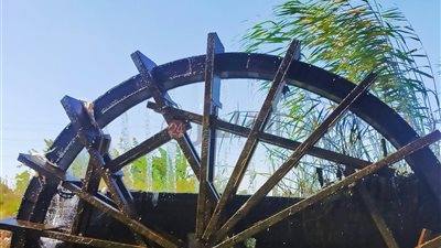 ارتفاع شديد في درجات الحرارة بالفيوم.. والعظمى 36