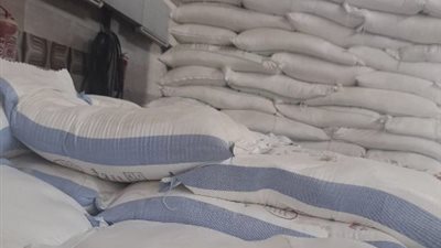 100 جنيه للطن.. زيادة جديدة في أسعار الدقيق والقمح بالأسواق