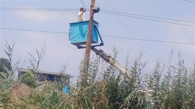 لتركيب أعمدة إنارة جديدة.. قطع التيار الكهربائي عن 6 قرى بمطوبس في كفر الشيخ 