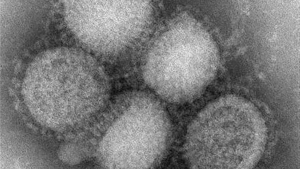 فيروس شلل الأطفال