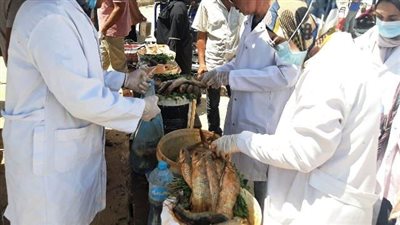 التحفظ على أكثر من 3 أطنان لحوم ودواجن وأسماك مجهولة المصدر بالشرقية