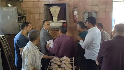 نائب محافظ المنيا يوجه بتحرير عدد من المحاضر لمخابز مخالفة بمركزي مغاغة وبني مزار