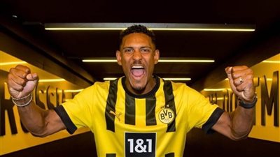 آخرهم بوجبا وهالير.. لاعبون طاردتهم الإصابة بعد التوقيع لأنديتهم الجديدة