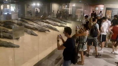 توافد أعداد كثيرة من السائحين لزيارة متحف التمساح بأسوان | صور 