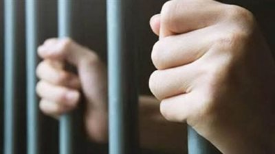 حبس 9 متهمين بحوزتهم مخدرات وأسلحة نارية في حملة أمنية بالقليوبية 