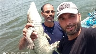 طلع له في رحلة صيد.. مواطن من كفر الشيخ يصطاد تمساحًا في نهر النيل برشيد