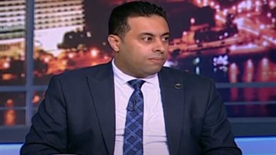 برلماني: عدم وجود مجالس محلية مخالفة دستورية