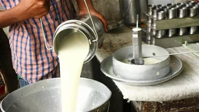 زيادة 30 %.. برلماني يطالب بتنفيذ تكليفات الرئيس بالاهتمام بمضاعفة إنتاج الألبان