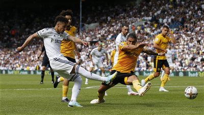 ليدز يفوز على ولفرهامبتون ونيوكاسل يهزم نوتنجهام فورست بالبريميرليج