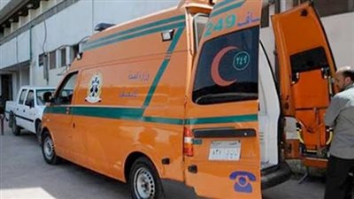 جهود أمنية للقبض على سائق صدم أم وابنتها أثناء عبورهما الطريق بالغربية 