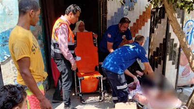 تخلى عنهما ذويهم.. التضامن تنقذ مسنة في منزلها ومسن بلا مأوى | صور