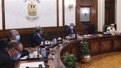 رئيس الوزراء يوجه بإعداد خطة واضحة لتشجير المحاور والطرق الجديدة