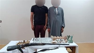 الأمن يحبط تهريب 292 تمثالا أثريا بالمنيا ويضبط الجناة |صور