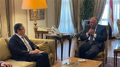 شكري يبحث مع نائب وزير خارجية كازخستان العلاقات الثنائية والتعاون حول مؤتمر سيكا | صور