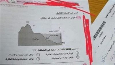 تفاصيل حصول طالبة بالشرقية على 0٪ بالثانوية العامة | صورة