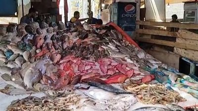الجمبري بـ990 جنيها.. أسعار السمك اليوم 9 أكتوبر 2025 في سوق العبور