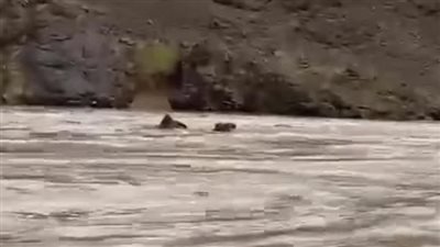 الأرصاد تكشف أسباب السيول الغزيرة في السعودية 