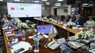 وثيقة ملكية الدولة.. توصيات بزيادة الشراكة بين القطاع الخاص والمراكز البحثية