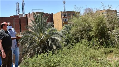 محافظ أسوان يعلن موافقة وزير التربية والتعليم لإنشاء أكبر مجمع للمدارس الحكومية