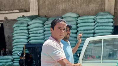 تموين الإسكندرية: تحرير 286 محضرا خلال حملات بأحياء المحافظة 