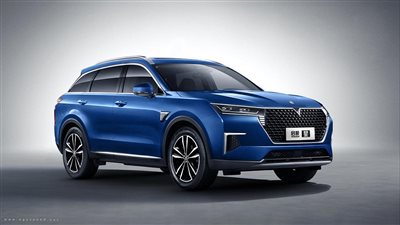 سعر دونج فينج فينوتشيا 2023 الصينية يرتفع 45 ألف جنيه 