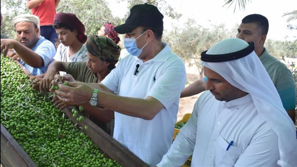 محافظ شمال سيناء